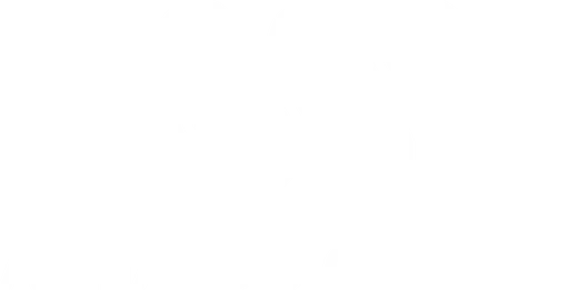 Arnaldo Castro